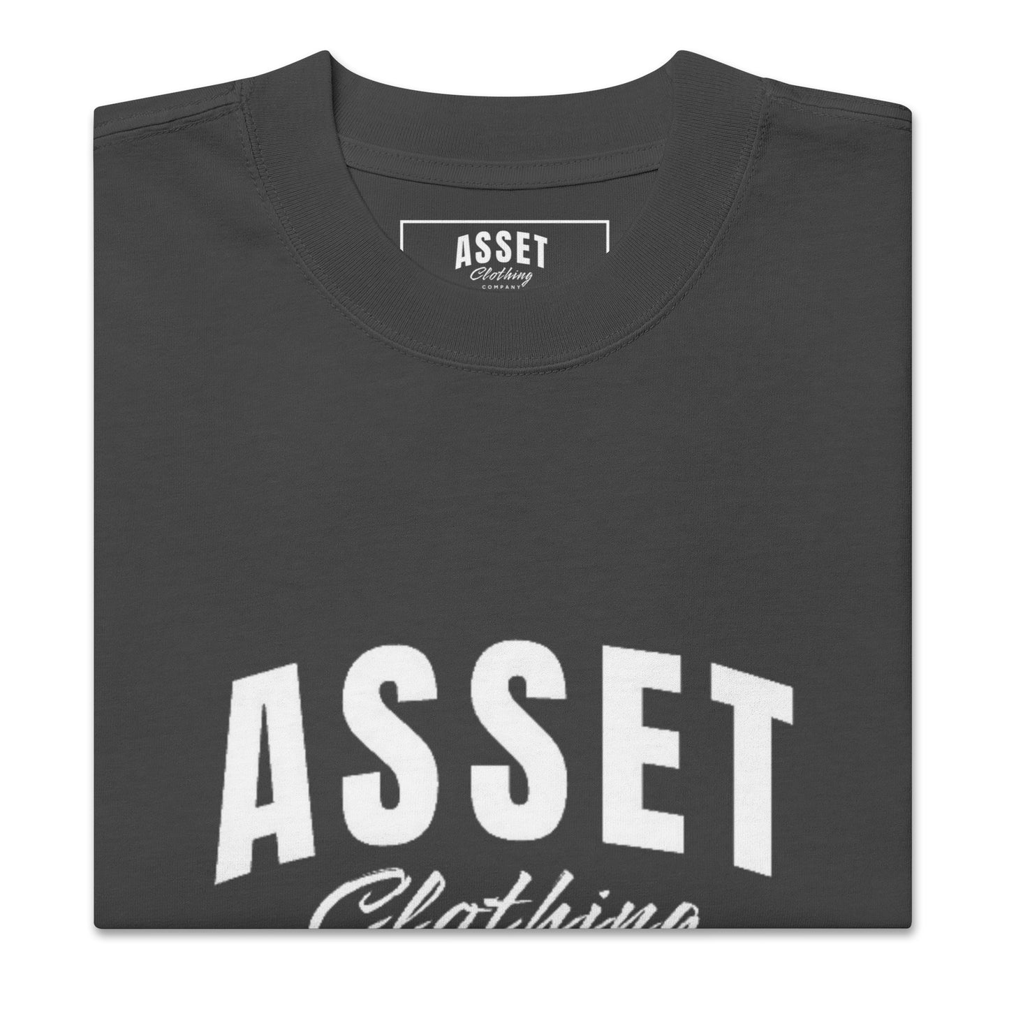 Asset Co. Signature Oversized faded t-shirt