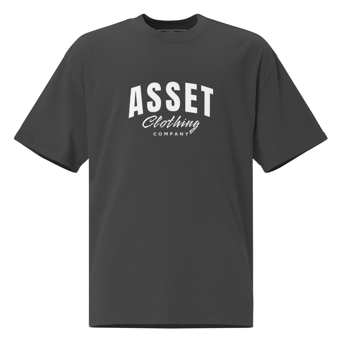 Asset Co. Signature Oversized faded t-shirt